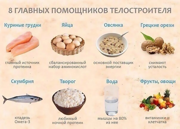 Питание для эктоморфа для набора массы: примерная программа рациона