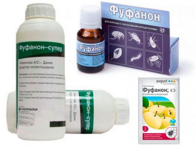 Фуфанон: дешевое и эффективное средство борьбы с вредителями. инструкция по применению!
