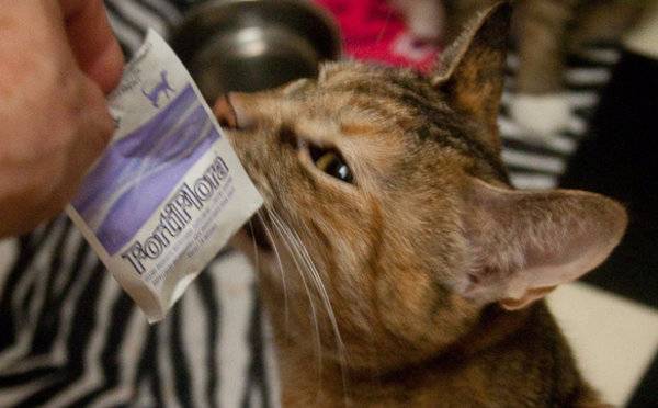 PRO PLAN VETERINARY DIETS FORTIFLORA для кошек для нормализации баланса кишечной микрофлоры