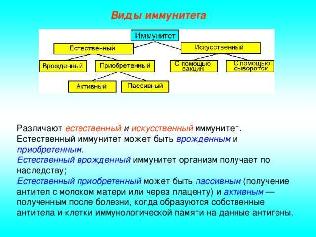 Искусственный активный иммунитет