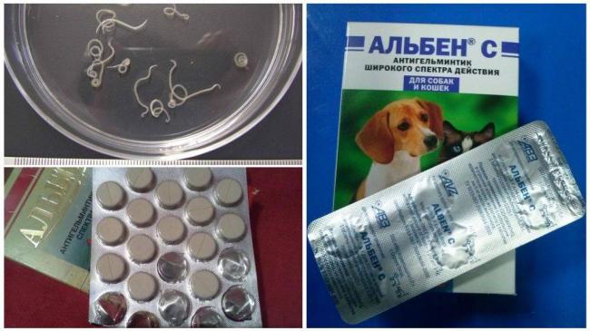 Альбен для свиней отзывы