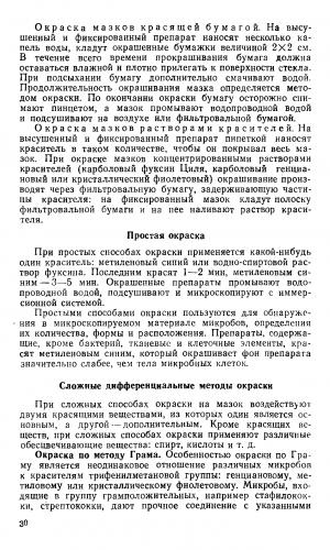 Нарисуем невидимое, или методы окраски микроорганизмов