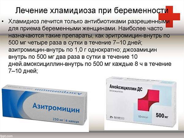Самые эффективные препараты от хламидиоза у женщин и схема лечения