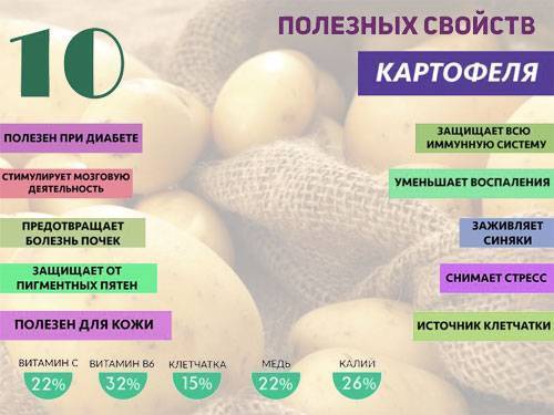 Правила использования компресса из картошки от кашля