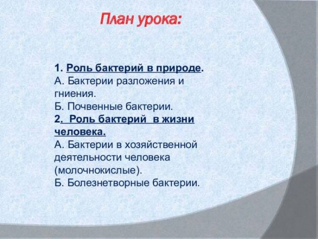 Роль бактерий в природе: влияние полезных и вредных микроорганизмов на жизнь человека