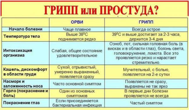 Как отличить коронавирус от простуды и гриппа? - hi-news.ru
