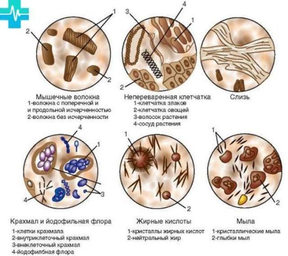 Анализы на туберкулез у взрослых и у детей