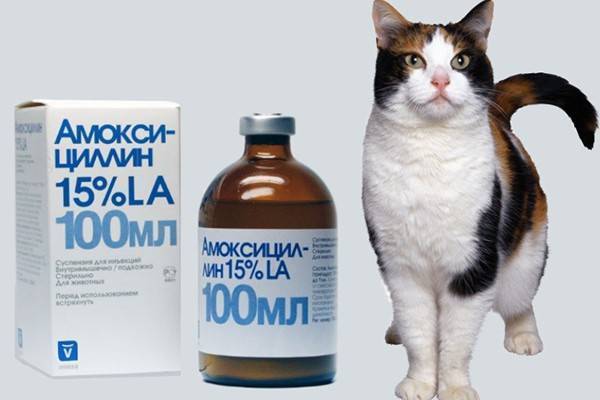 Амоксициллин для собак полное описание препарата, дозировка, противопоказания