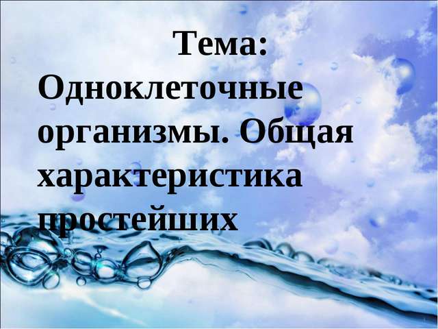 Разнообразие живого
