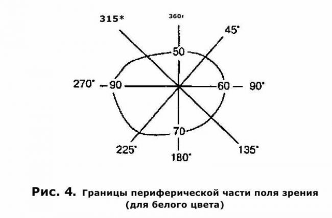 Скотома глаза: что это такое
