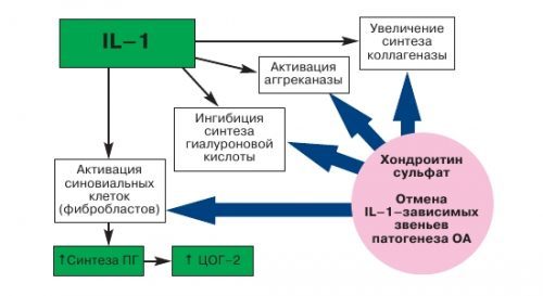 Драстоп: уколы в ампулах 2 мл
