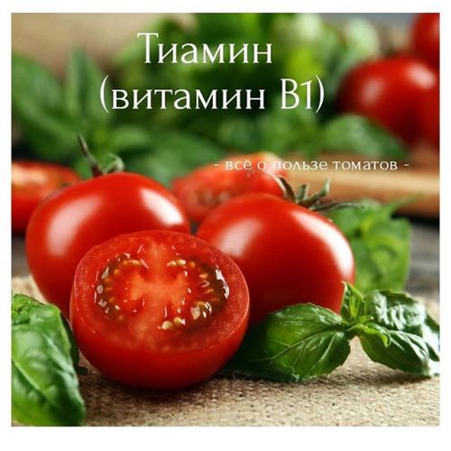Тиамин (витамин b1)