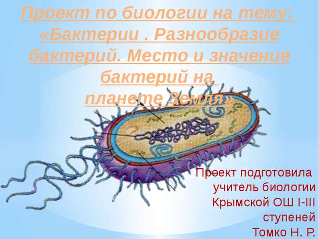 Царство бактерии общая характеристика, кто открыл бактерии, названия и примеры бактерий, чем питаются, как размножаются, запасное вещество бактерий, признаки симбиотических бактерий