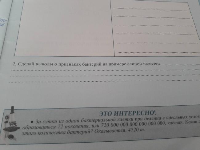 Сенная палочка