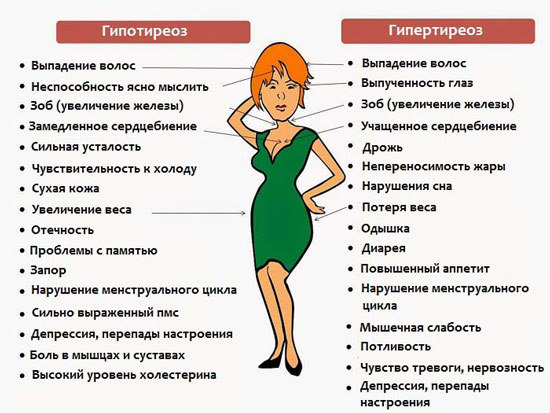 Анализы на гормоны: ттг, т4, ат к тпо. какие анализы сдавать не нужно