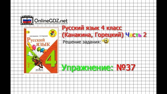 Бактерии в кишечнике человека