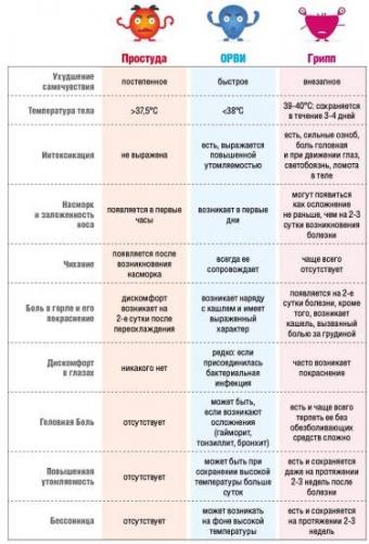 Медики рассказали, как быстро отличить простуду от гриппа | тур по интернету