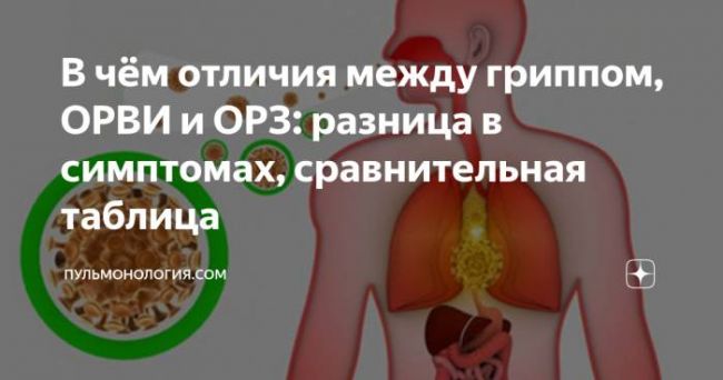 В чем разница между орз и орви