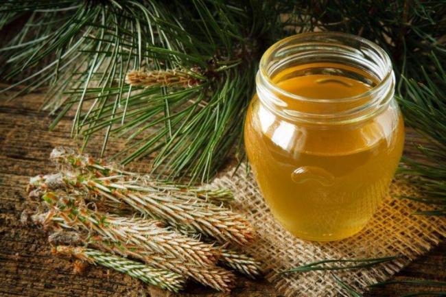 Как заваривать шишки сосны от кашля