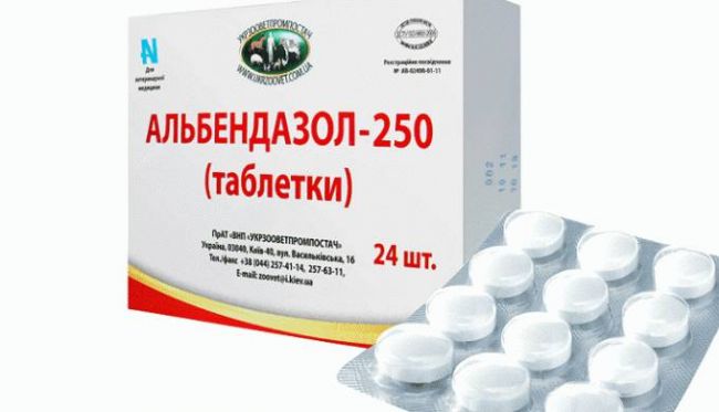 Альбендазол 400 — эффективное средство для лечения глистов
