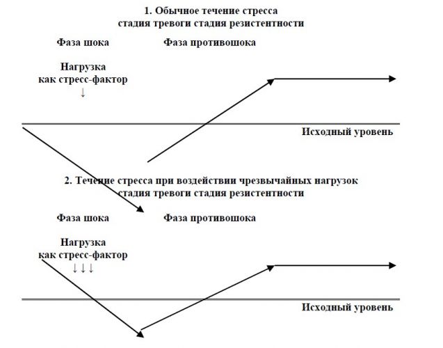 Профилактика и лечение стресса