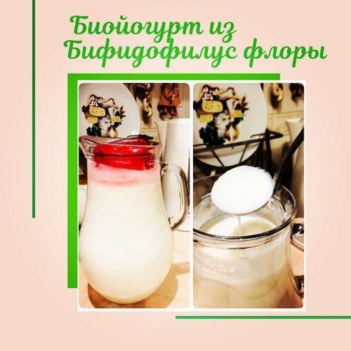 Бактерии, которые можно купить в аптеке: польза неоспорима