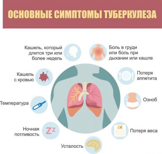 Туберкулез. симптомы, признаки, стадии и лечение у взрослых. народные средства, медикаменты