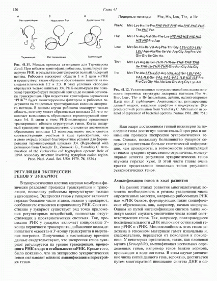 Экспрессия генов — википедия. что такое экспрессия генов