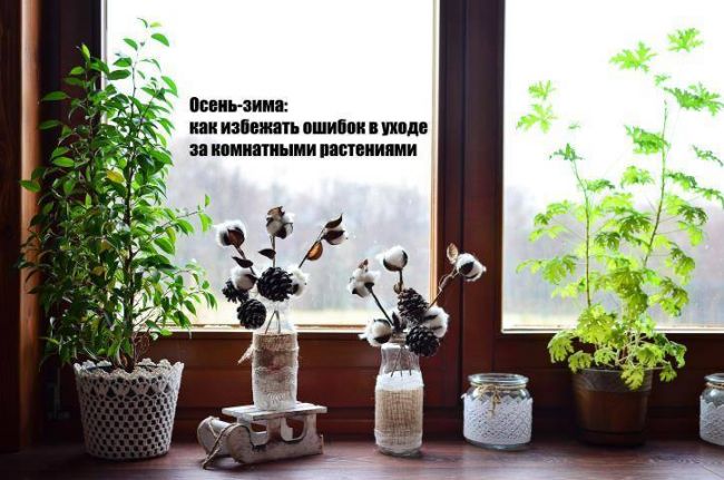 Тревожные признаки наличия грибков в организме: что делать