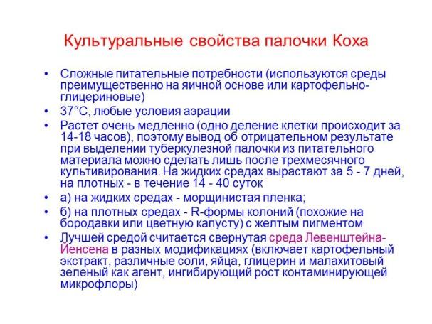 Что такое палочка коха, и какое заболевание она вызывает?