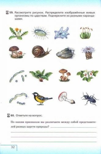 Одноклеточные организмы — список с названиями и примерами. чем и как отличаются бактерии от простейших