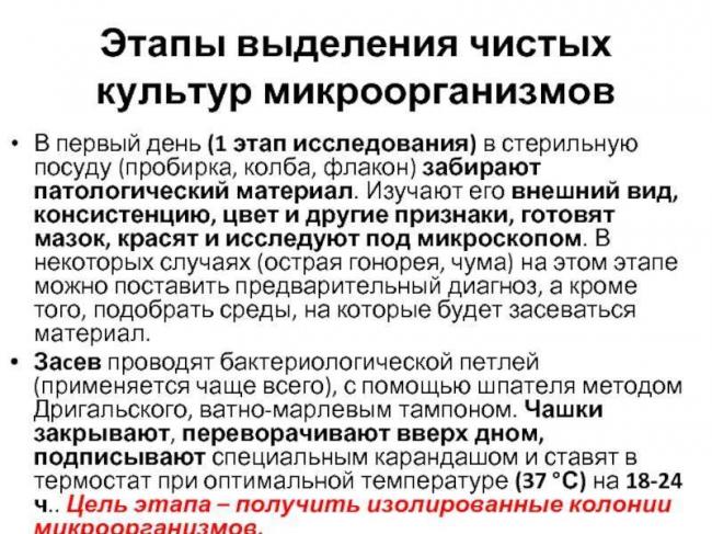 Особенности и принципы выделения чистых культур бактерий