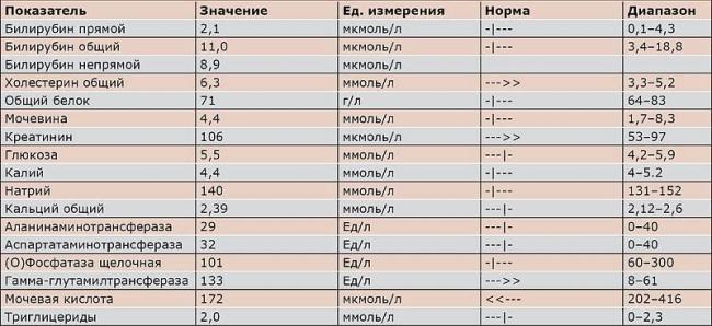 Воспаление легких (пневмония)