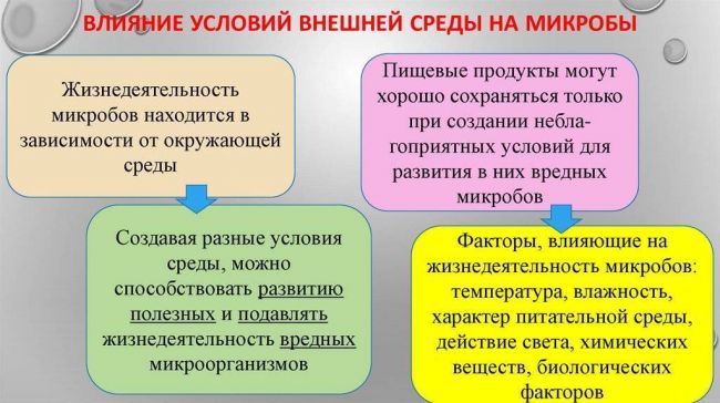 Где и как человек использует бактерии