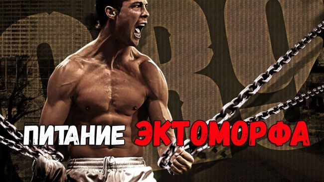 Эндоморф: тренировка и питание