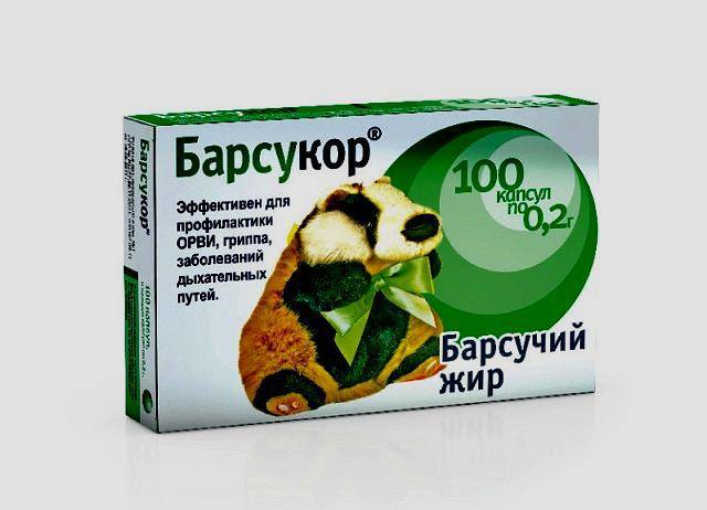 Барсучий жир применение и дозы. лечение заболеваний сердечно-сосудистой системы барсучьим жиром. противопоказания к использованию и побочные эффекты