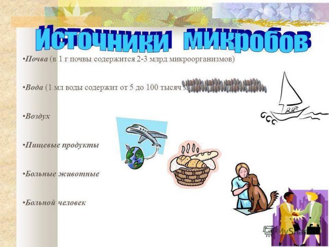 Какой вред могут нанести бактерии организму человека