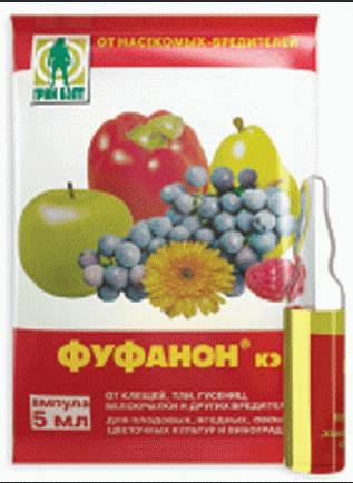 Фуфанон-нова: подробное описание средства защиты растений от вредителей