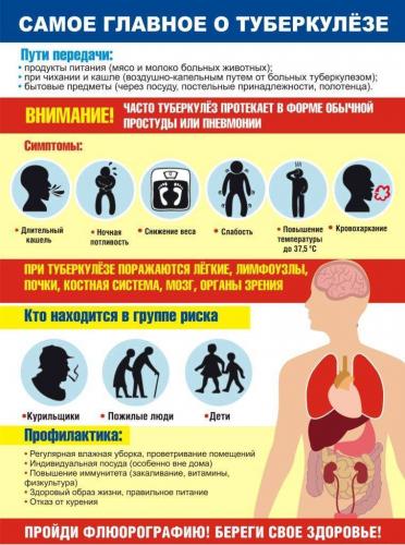 Через сколько дней будут готовы анализы на туберкулез
