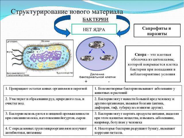 Домашний йогурт