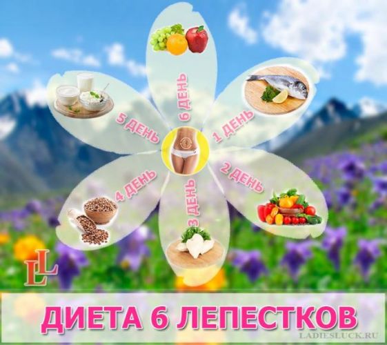Диета 7 лепестков: основные правила, рацион питания, рецепты