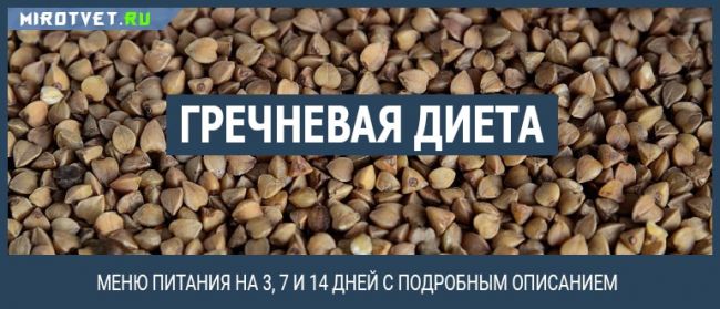 Витаминно-белковая диета - отзывы и обсуждение - на diets.ru