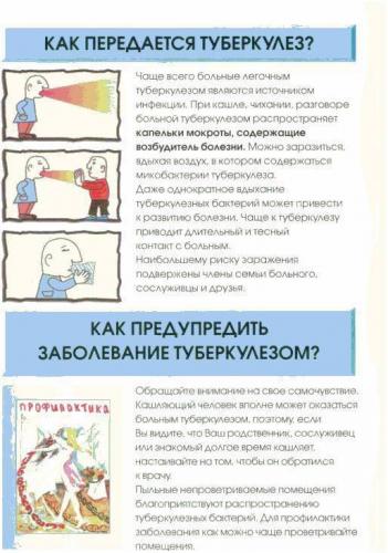 Анализ крови при туберкулезе легких: показатели, изменения, расшифровка – что покажет клинический и биохимический анализ, антитела