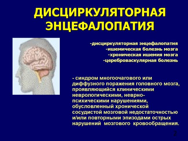 Энцефалопатия головного мозга у взрослых — все о тяжелой патологии