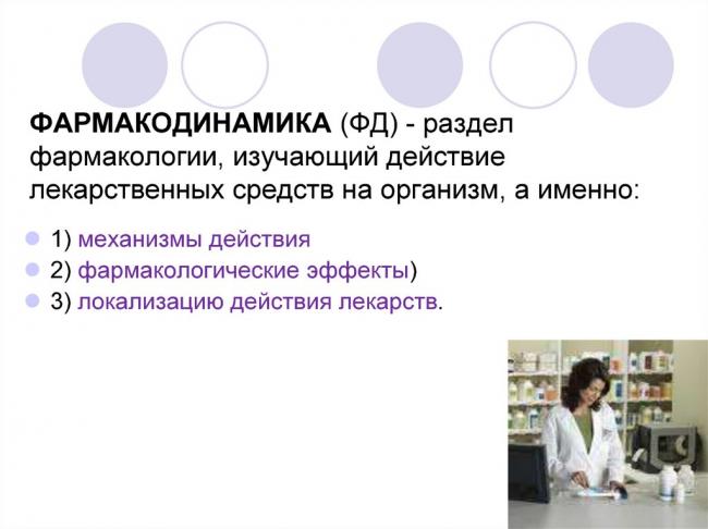 Фендивия