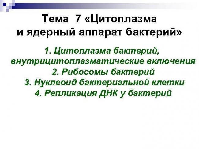 Строение бактерий