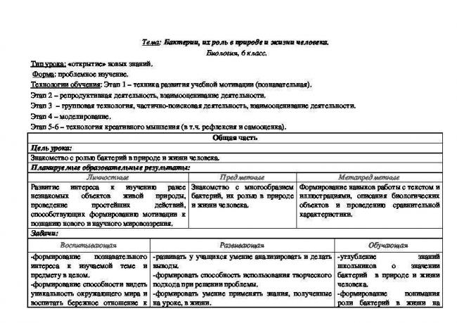 Бактерии