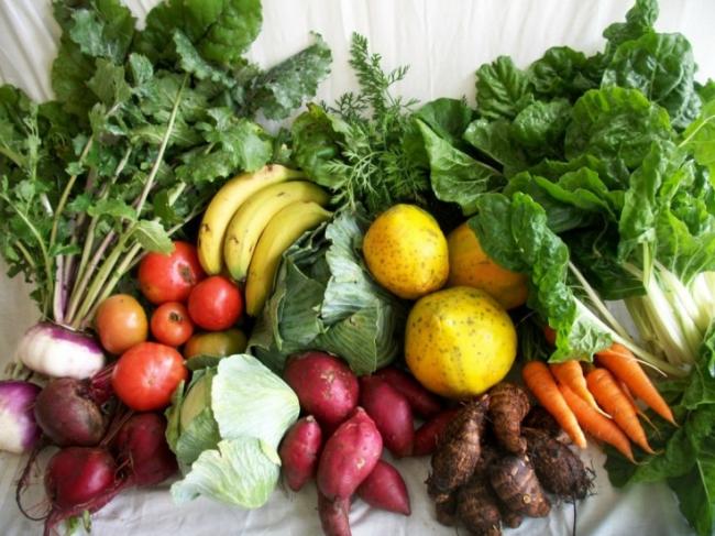 Желчегонные продукты питания. список при застое, камнях, перегибе, после удаления желчного пузыря