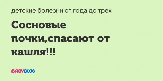 Сосновые почки от кашля: рецепт для детей и взрослых, отзывы, противопоказания