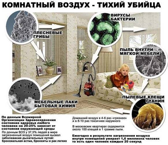 Очиститель воздуха для аллергиков и астматиков